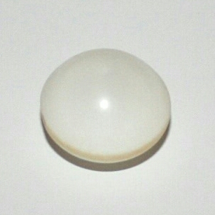 Clam Pearl 51ct Button Shape