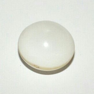 Clam Pearl 51ct Button Shape