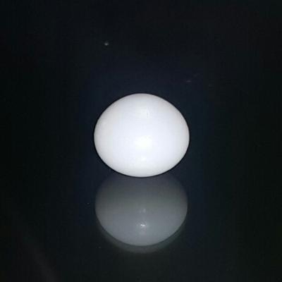 Clam Pearl 6.3 ct