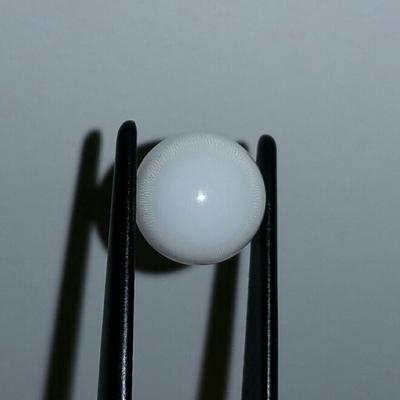 Clam Pearl 6.41 ct