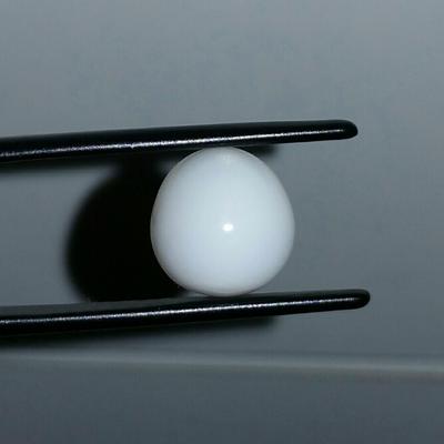 Clam Pearl 6.41 ct