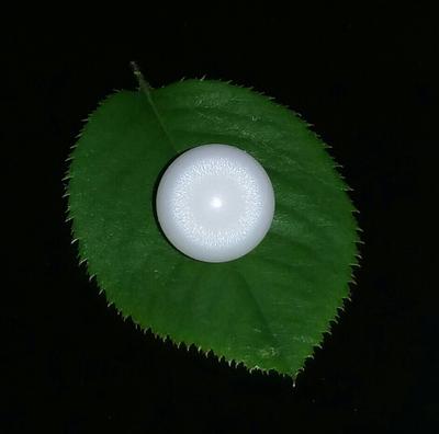 Clam Pearl 7+ ct 10mm with Flame