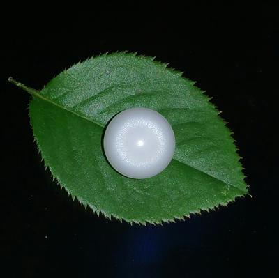 Clam Pearl 7+ ct 10mm with Flame