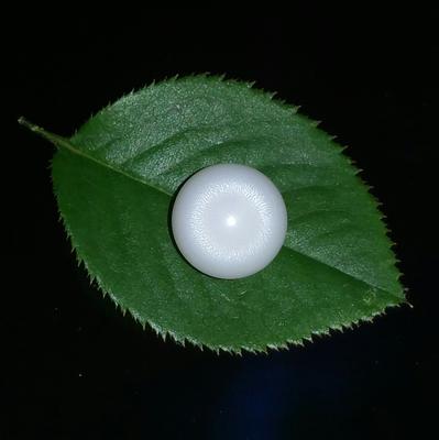 Clam Pearl 7+ ct 10mm with Flame