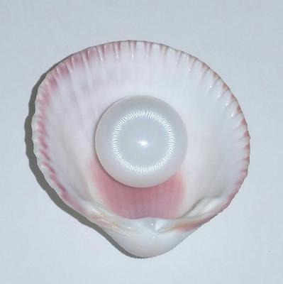 Clam Pearl 7.2 ct Flame on Both Sides
