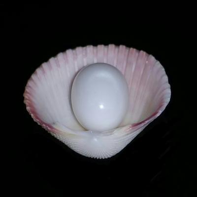  Pearl