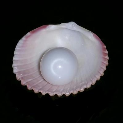 Clam Pearl 7.25 cts 12mm Oval with Flame