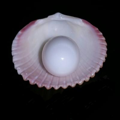 Clam Pearl 7.25 cts 12mm Oval with Flame