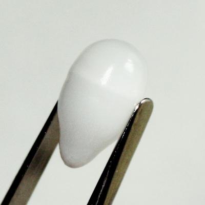 7.15ct clam pearl