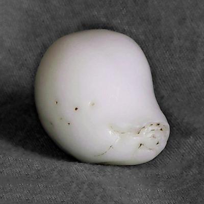 Clam Pearl 76.35 carats