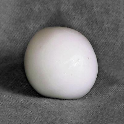 Clam Pearl 76.35 carats