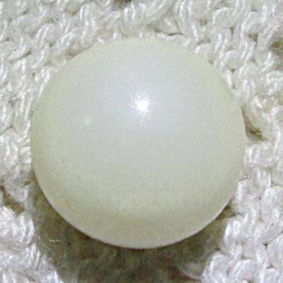 Clam pearl 7.6cts bottom side