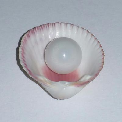Clam Pearl 8.75 ct Semi Button with Flame for Sale