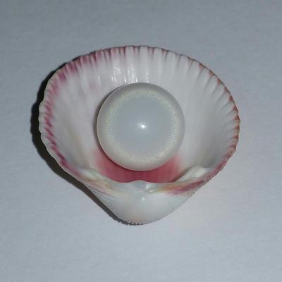 Clam Pearl 8.75 ct Semi Button with Flame for Sale