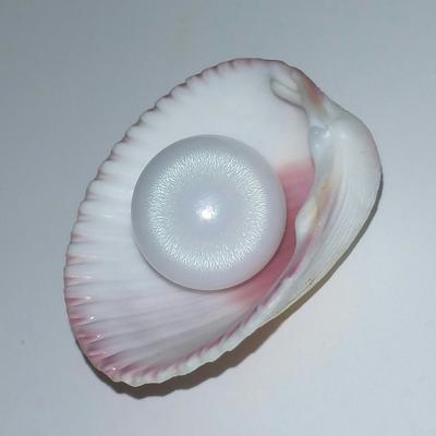 clam pearl flame ct shape button