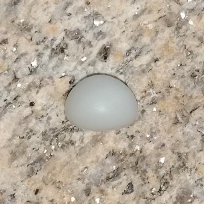 Clam Pearl 9.7 ct 12mm Button Shape