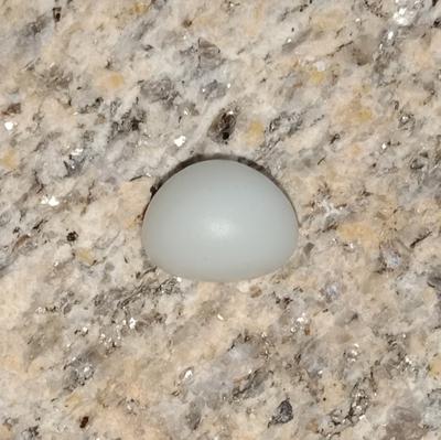 Clam Pearl 9.7 ct 12mm Button Shape