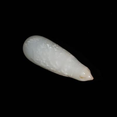 Clam Pearl 9.4 ct with Flame