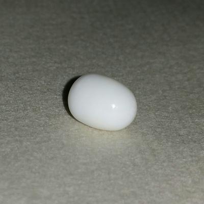 Clam Pearl Bullet Shape 5.30 ct