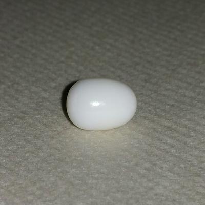 Clam Pearl Bullet Shape 5.30 ct