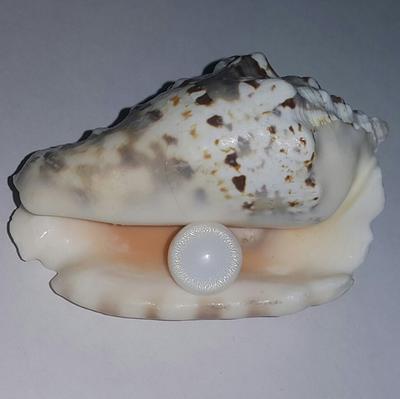 Clam Pearl Button 12.2 ct with Flame 13mm