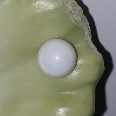 Clam Pearl Button Shape 3.2 ct with Flame