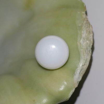 Clam Pearl Button Shape 3.2 ct with Flame