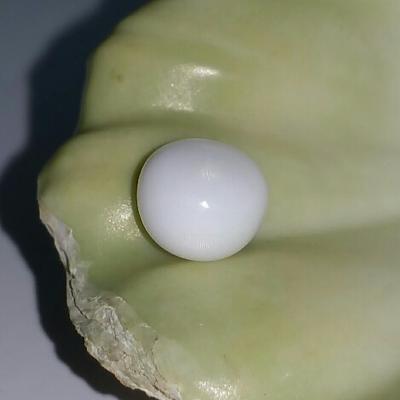 Clam Pearl Button Shape 3.2 ct with Flame