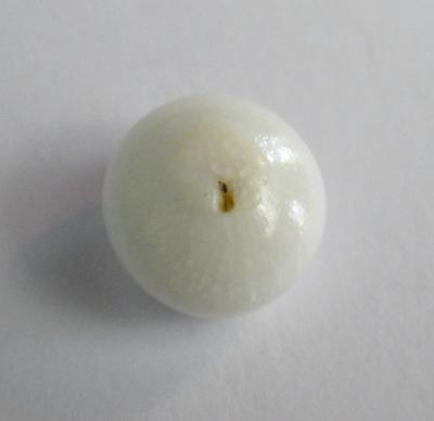 Clam Pearl Button Shape with Flame 11+ carats 10+mm