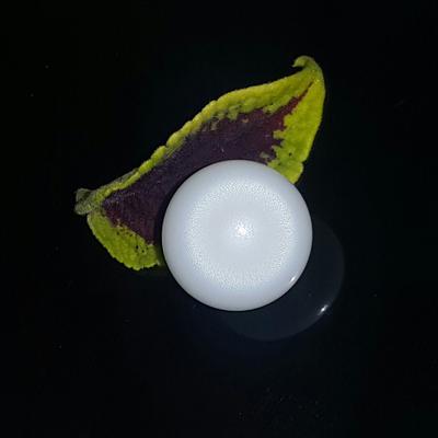 Clam Pearl Button with 2 Flames 10+ ct