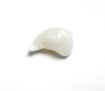 Clam Pearl Curled Baroque 12mm with Flame