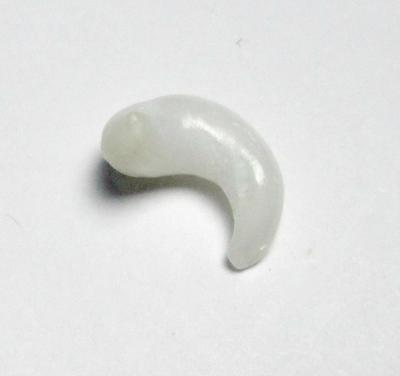 Clam Pearl Curly 12mm with Flame