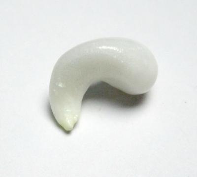 Clam Pearl Curly Cue with Full Flame