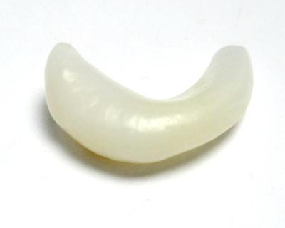 Clam Pearl Curved 19mm Yellowish