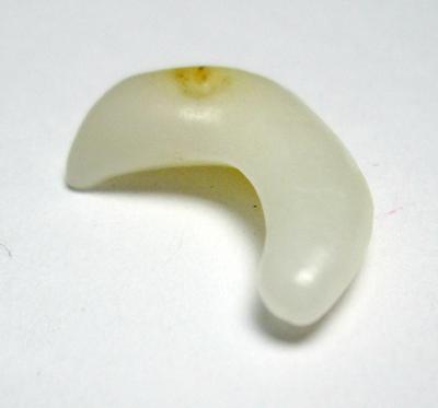Clam Pearl Curved 19mm Yellowish