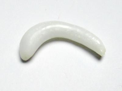 Clam Pearl Curved Full Flame 20mm