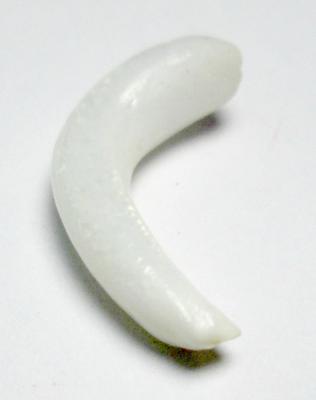 Clam Pearl Curved Full Flame 20mm