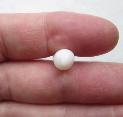 Clam Pearl Cylinder Shape 8+ carats 