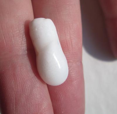 Clam Pearl Drop 11+ carats