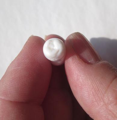 Clam Pearl Drop 11+ carats