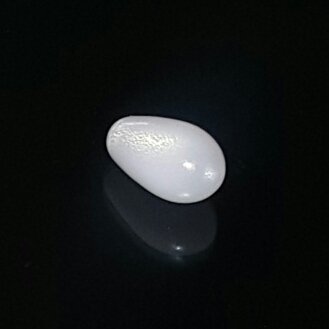 Clam Pearl Drop 3.5 ct