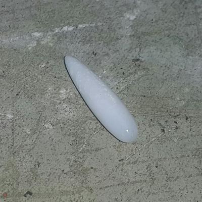 Clam Pearl Drop 4.2 ct