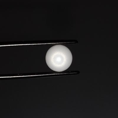 Clam Pearl Drop 5+ ct