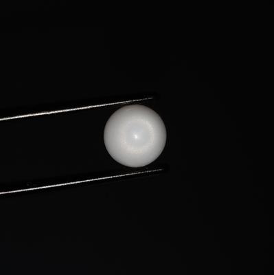 Clam Pearl Drop 5+ ct