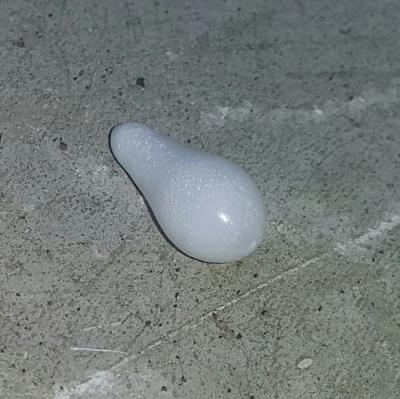 Clam Pearl Drop 7.3 ct