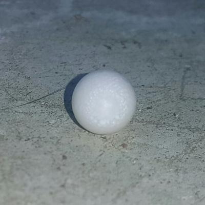 Clam Pearl Drop 7.3 ct