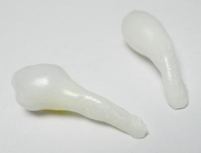 Clam Pearl Drop Pair Full Flame 22mm and 24mm