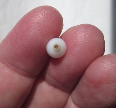 Clam Pearl Drop Shape 2+ carats with Flame