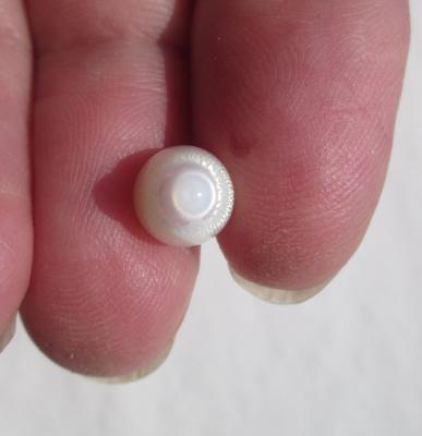 Clam Pearl Drop Shape with Very Strong Flame 3+ carats