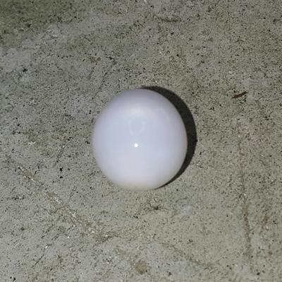 Clam Pearl Drop with Flame 14.7 ct